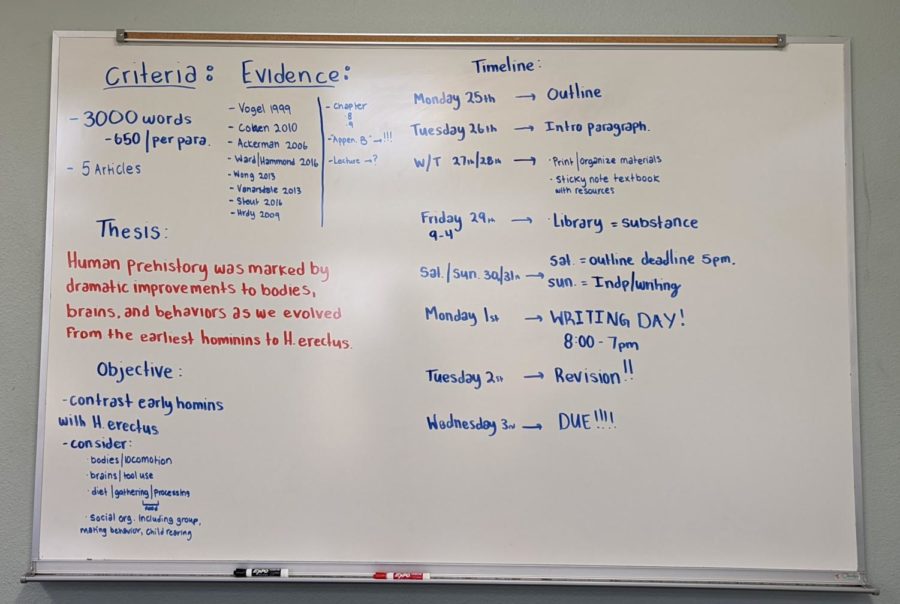 Notes from Millers ANTH101H class by student Claire Benham. Whiteboards are crucial to in-person learning, with professors and students making use of them again with the return to the classroom.